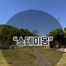 상주 애견동반 숙소 추천 프라이빗 독채 스테이몽 후기