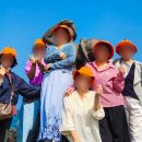 하얀여행사제주 | 제주 쏠라티 투어 제주도 여행 편했던 기사 포함 대절