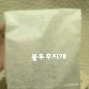 백년나무