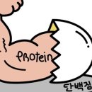 상현SH 이미지