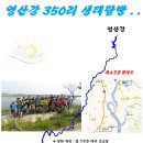 영산강뚝방길 이미지