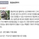 의진농장 네이버블로그
