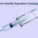 숲속동물병원 이미지