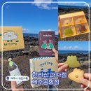 외도초등학교 | 제주도 디저트 맛집! 제주도 선물 추천! &lt;한라산과자점 제주공항점&gt; 샌드&amp;쿠키 구매 후기!