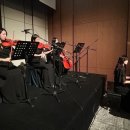 호텔 피아노 | 롯데호텔 잠실 크리스탈볼룸 웨딩연주 후기｜피아노 4중주 클래식 연주 다온음