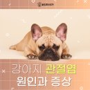 형곡동물병원 이미지