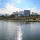 세종호수공원 이미지