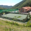 팔공산금화자연휴양림 이미지