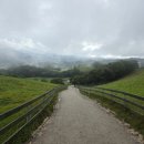 우산목장 이미지