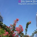 몽마르뜨공원 이미지