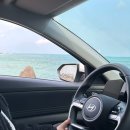 The나은 마켓 | 제주도렌트카 제주도렌트카할인정보 제주THE렌트카