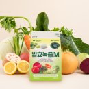 자연과 발효