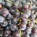 만복건강원 이미지