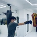 컬러킥앤복싱 이미지