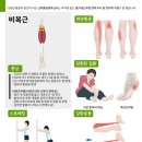 365강추한의원 이미지