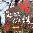 가곡강변로 이미지