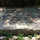 동해중기 이미지