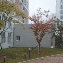 천마기술단 이미지
