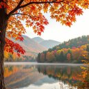 영장공원 이미지