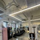 임스타핏 이미지