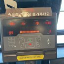 [다이어트/PT] 스포애니 오후 F.C의 다이어트 대장정 (feat. 현진 트레이너)