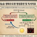 2026-10-3-토- 하늘숨생태수도원 묵상 일기 - 회복과 치유 이미지