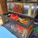 야먹자 | [사당 맛집] 겨울 제철 석화찜 맛집! 야주포자 사당본점 방문 후기