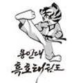 용인대 흑호 태권도장 이미지