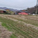 구룡부동산중개 이미지