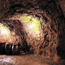 진선미토굴새우젓 이미지