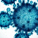 pet60로3129 이미지