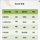 챠크라 이미지