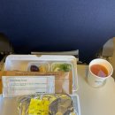 [고베공항 후기] 고베-인천 대한항공 신규 취항 직항 후기 + 특별기내식 못 받은 썰