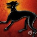 창문동물병원 이미지