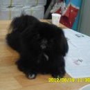 청학2동-3 이미지