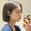 어뮤트 네이버블로그