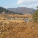 수헌중기