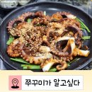 남해안 | 서면 쭈꾸미 맛집｜쭈꾸미가 알고싶다 방문 후기 (남해안 활쭈꾸미)