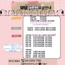 댕댕가르텐 강아지애견유치원호텔 | 해운대 애견호텔 추천 강아지 유치원 댕댕가르텐(소형견전용)