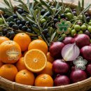 유로병원 | [공지] 만성 두드러기 치료 과정 후기 (헤스페리딘·퀘르세틴·올레유로페인 적용)