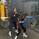 제이복싱 이미지