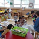 봉산초교병설유치원 이미지