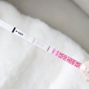 시약 | 임테기 희미한 두줄 후 한줄 | 다이소 원포 임테기 시약선 오류 후기