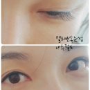 잴리뽀 속눈썹