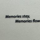 스테이 유수 이미지