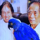 (주)실비아