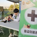 (주)바로벳 데일리벳