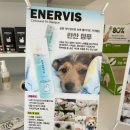 봉봉애견 이미지