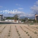 소양강로 이미지