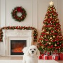 욜랑욜랑 이미지